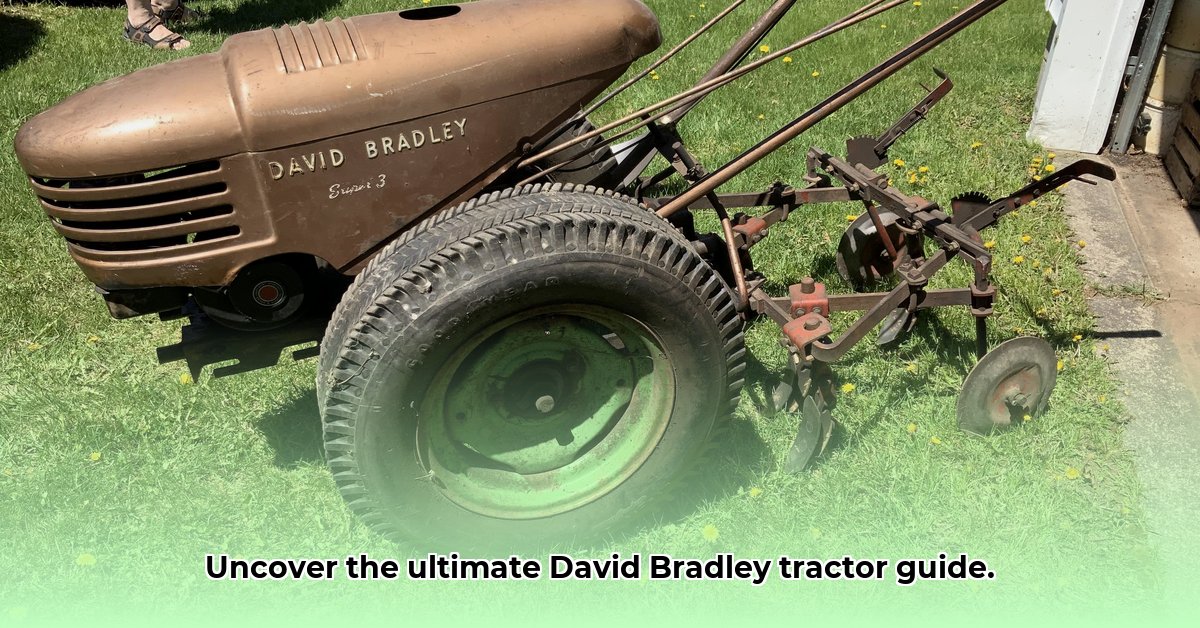 david-bradley-tractor-models